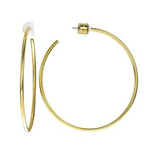 Michael Kors Delicate Gold Tone Hoop Earrings